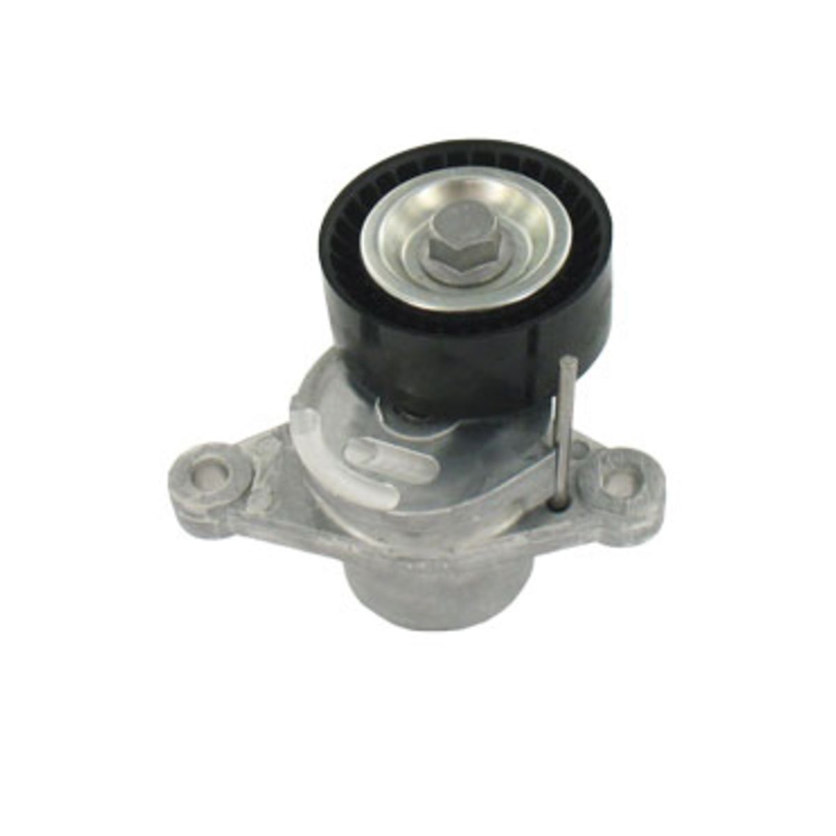 Image of Spanpoelie, V-riem