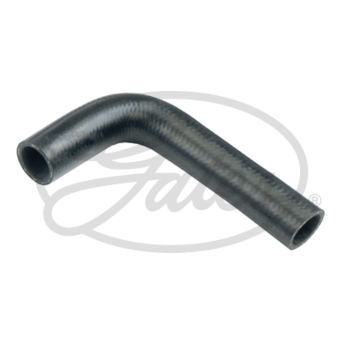 Image of Radiatorslang