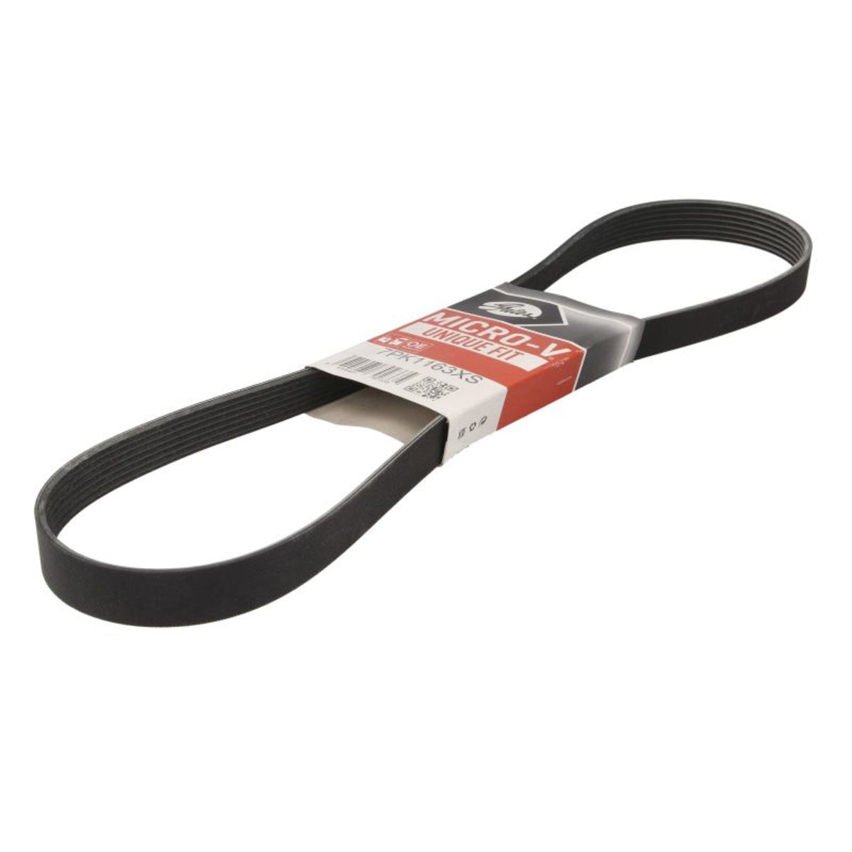 Nero Cinghia Poly-V Gates 7Pk1163xs
