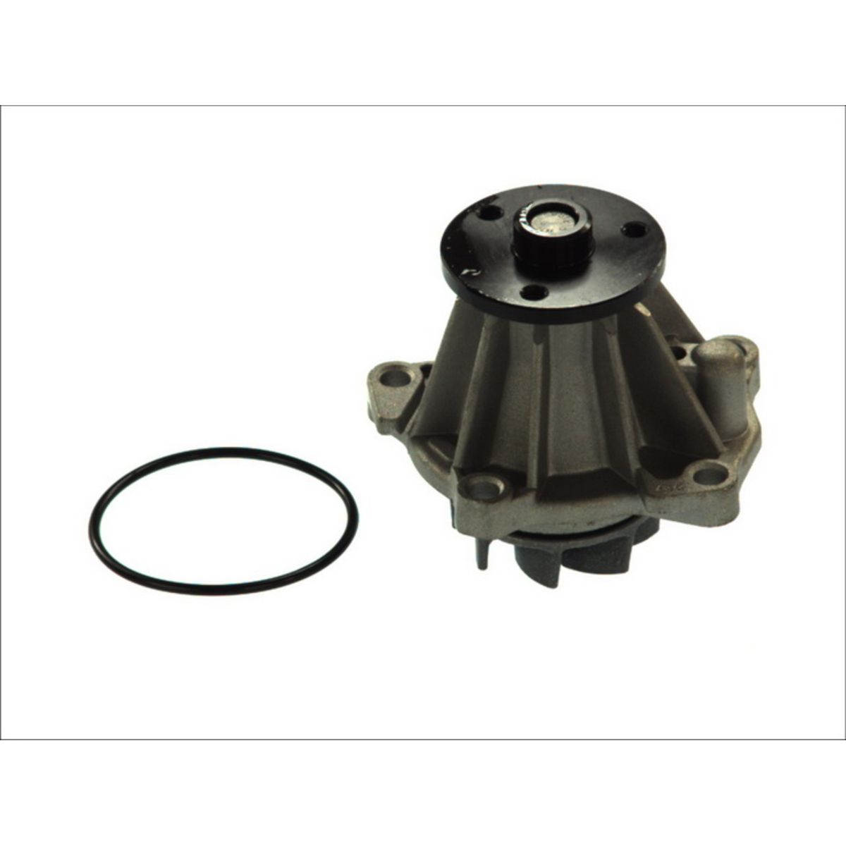 Image of Waterpomp