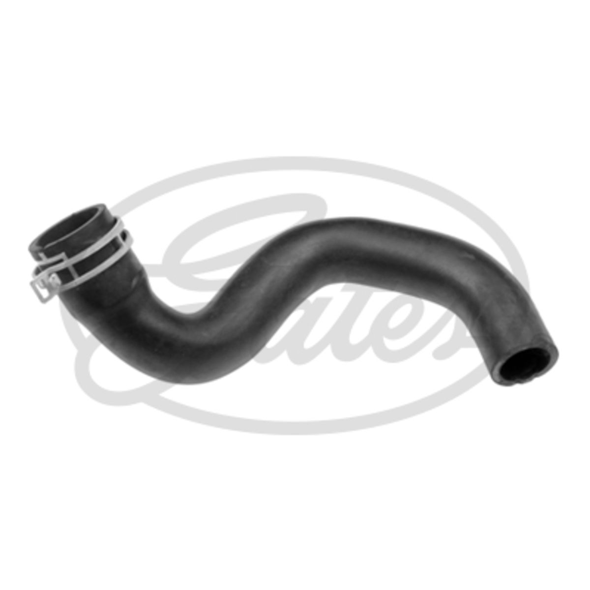 Image of Radiatorslang
