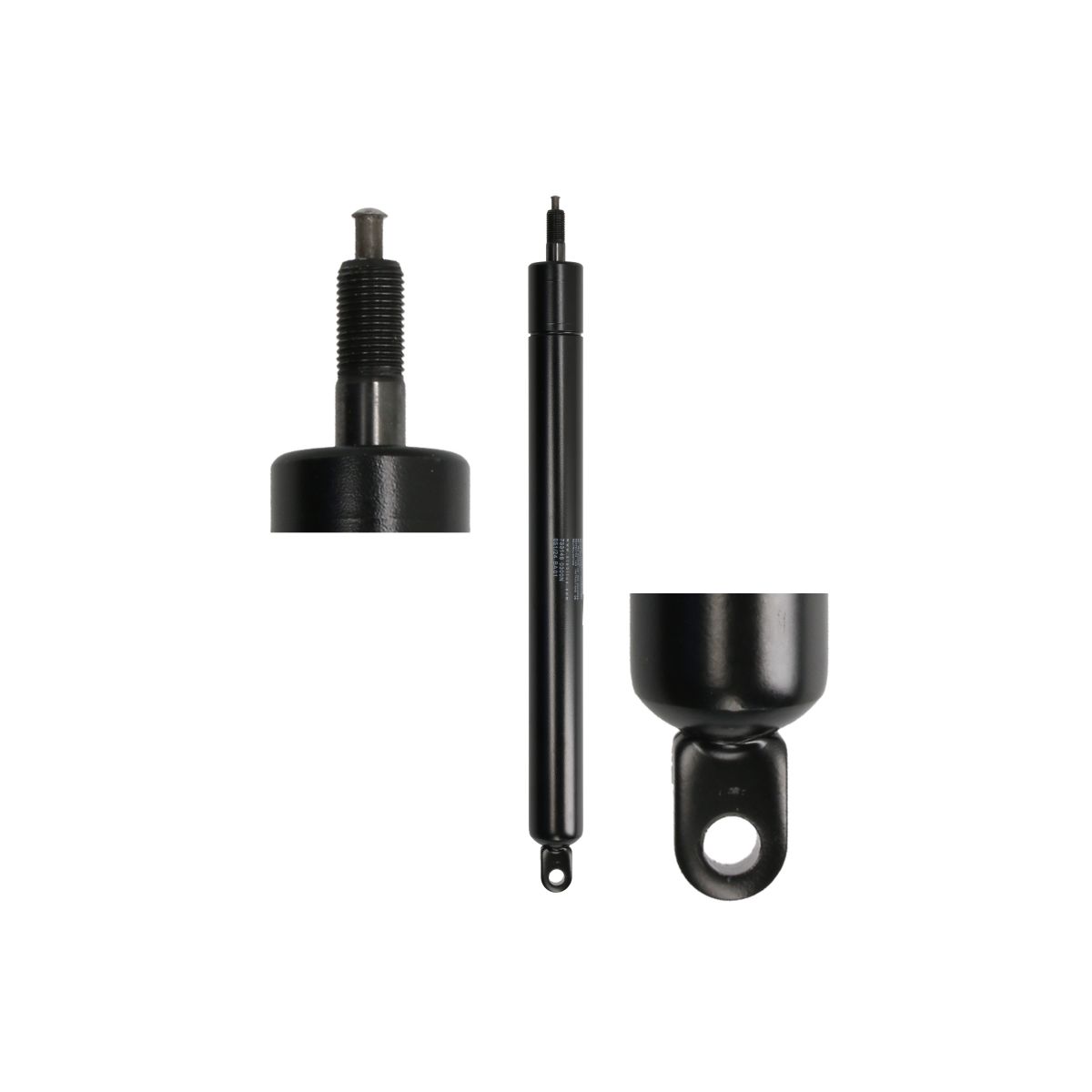 Gasfeder, Koffer-/Laderaum STABILUS STA733148