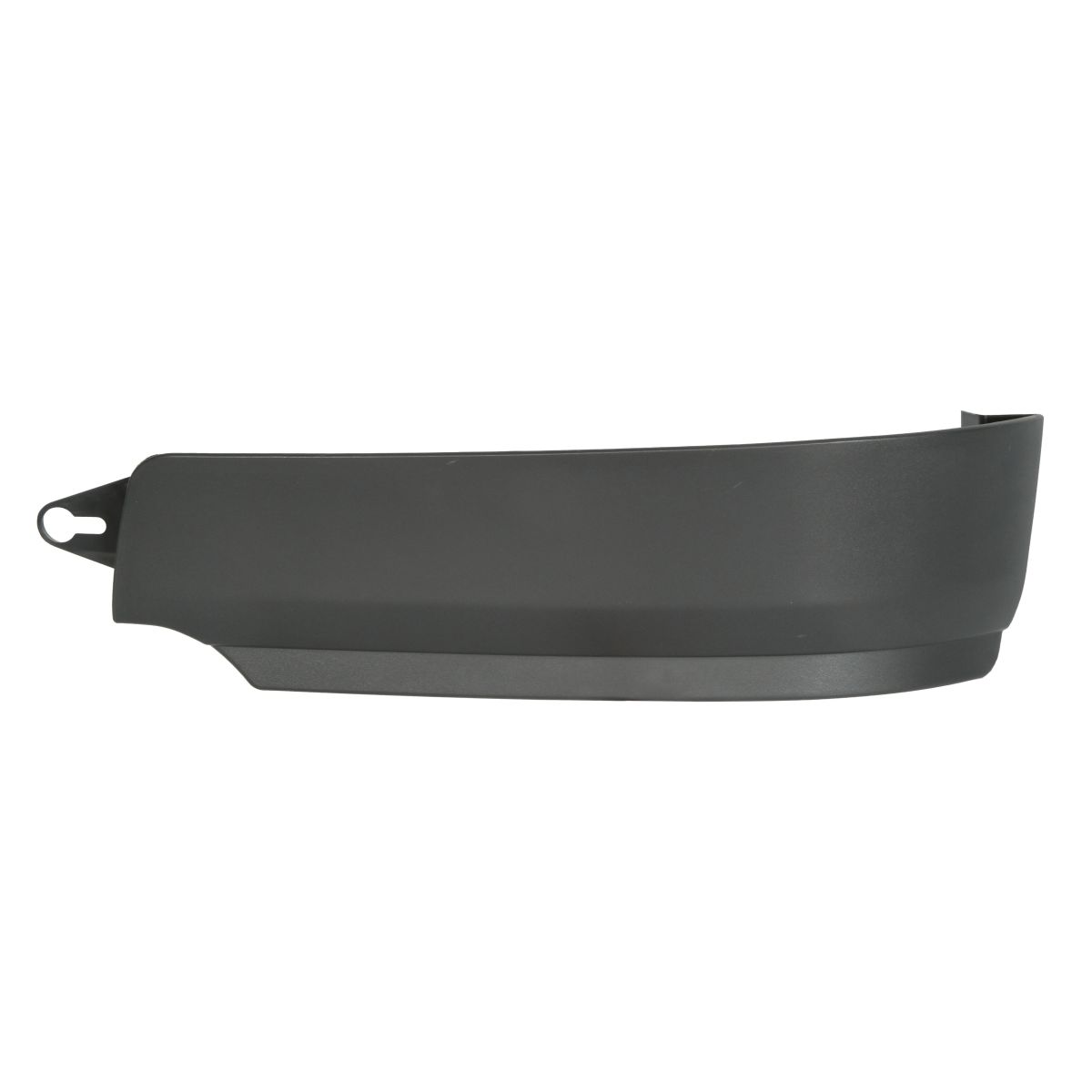 Moldura Protectora/decorativa, parachoques PACOL MAN-CP-015L izquierda