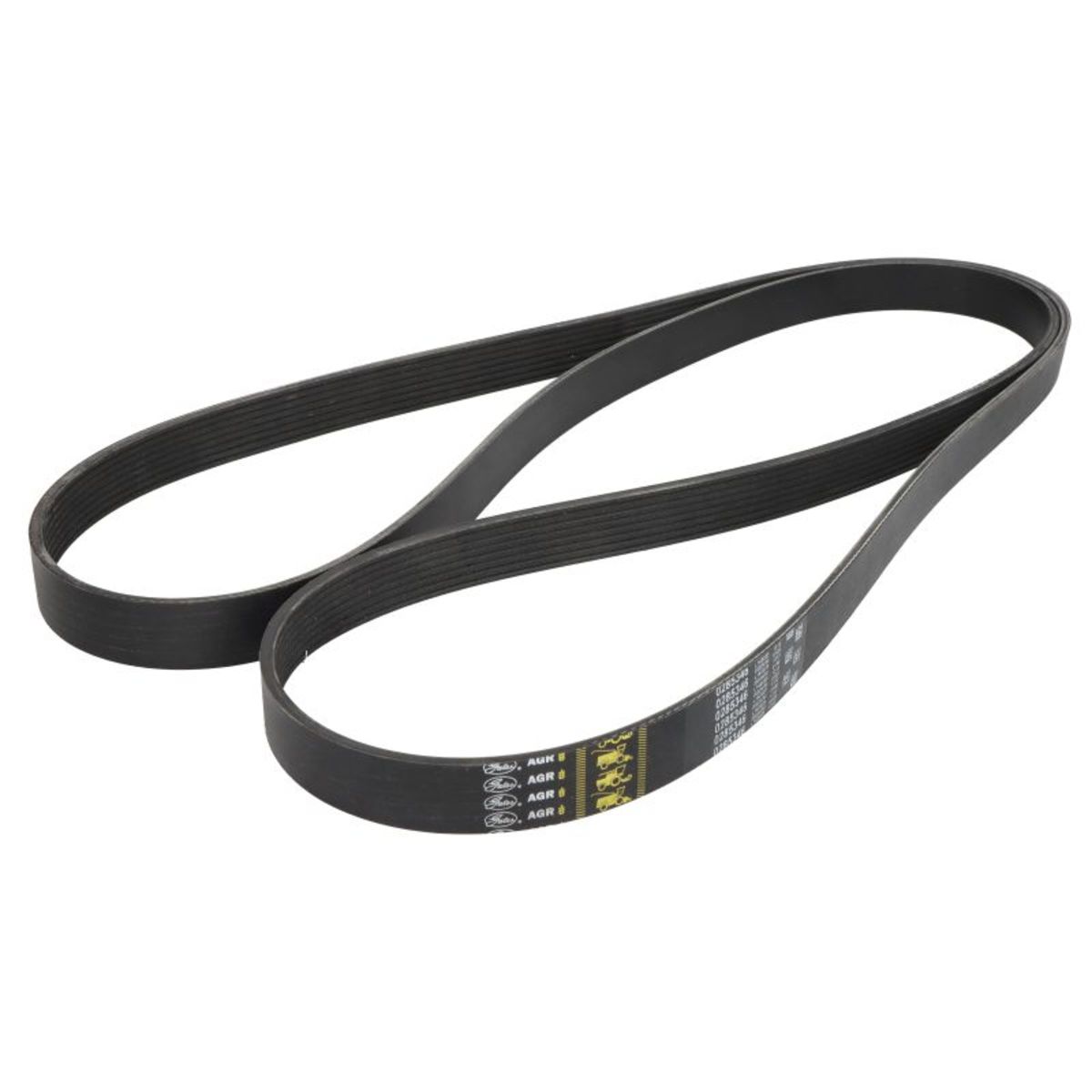 Image of V-riem  -GAT