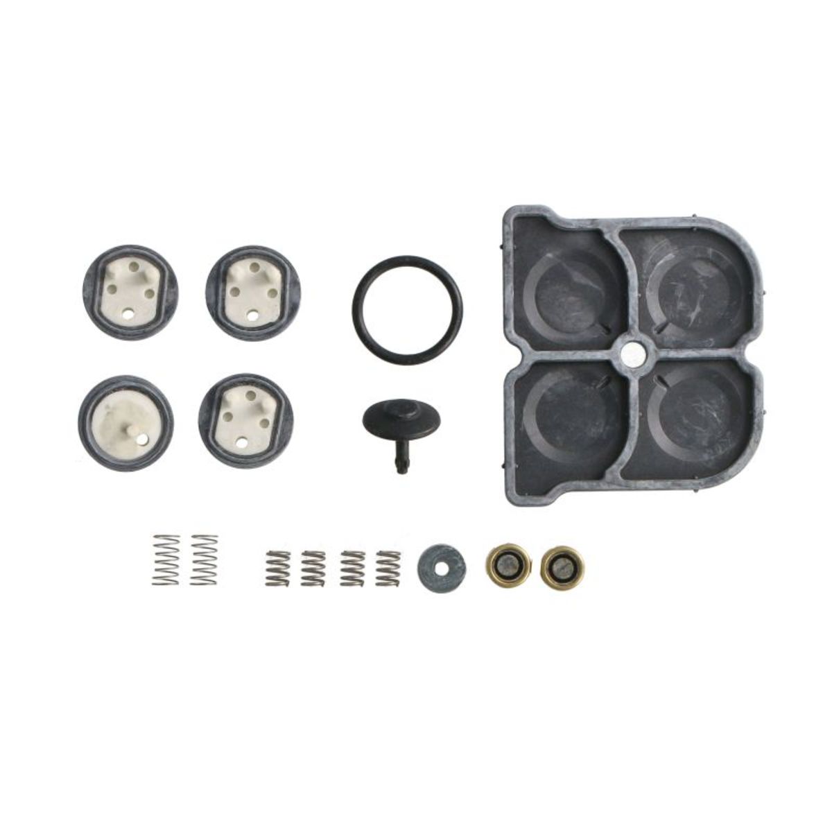 Cojali Reparatieset, Common-Rail-Systeem 6012170