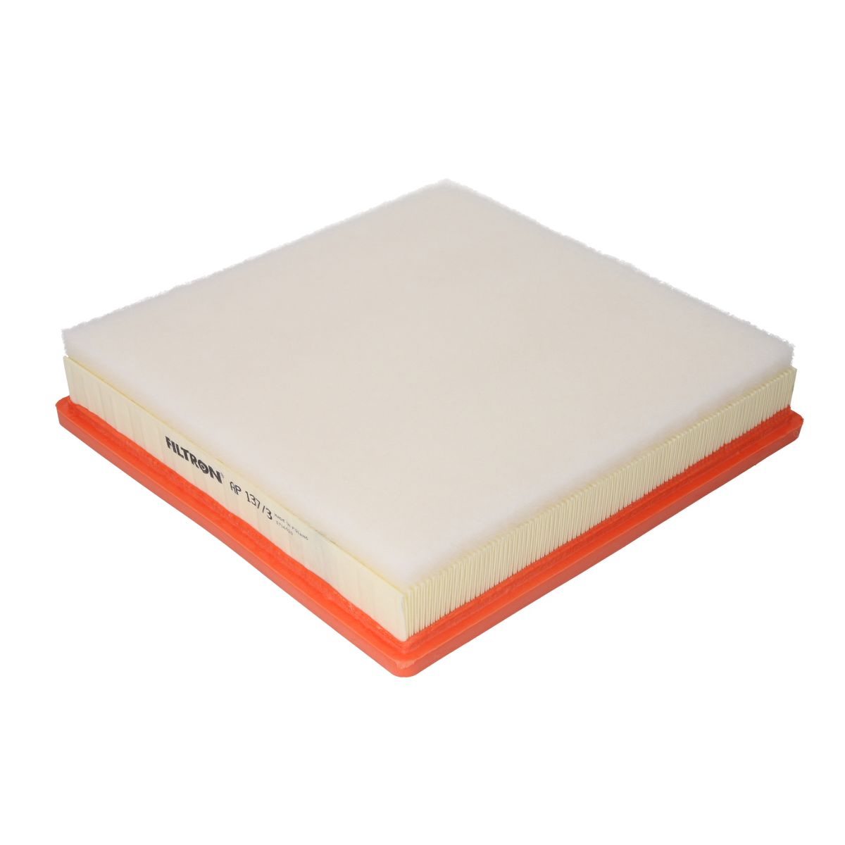 Filtron Filtro Aria Ap137/3