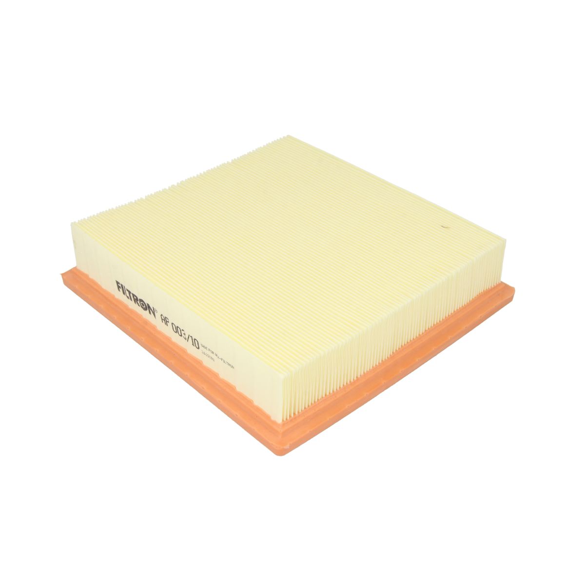 Filtron Filtro Aria Ap003/10