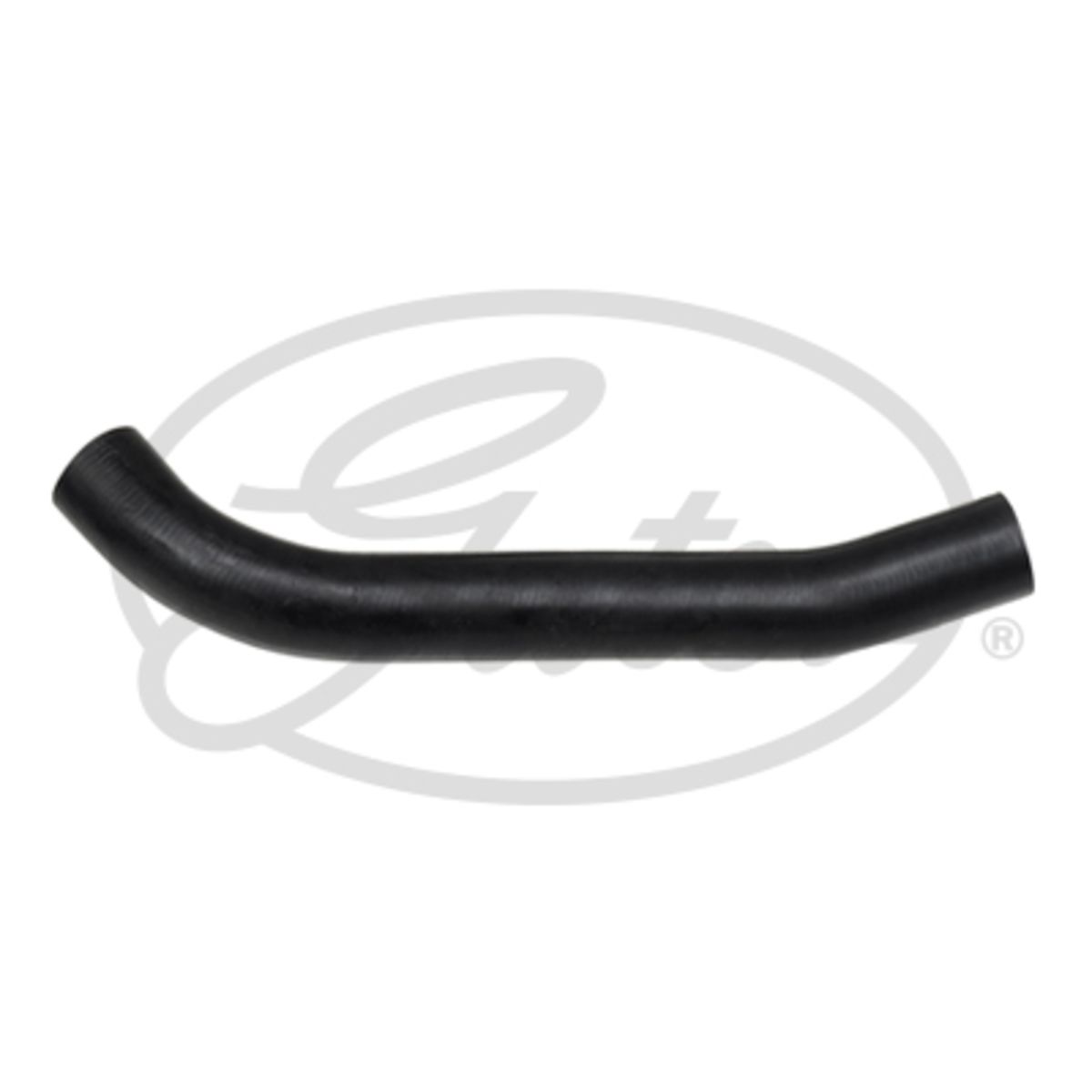 Image of Radiatorslang