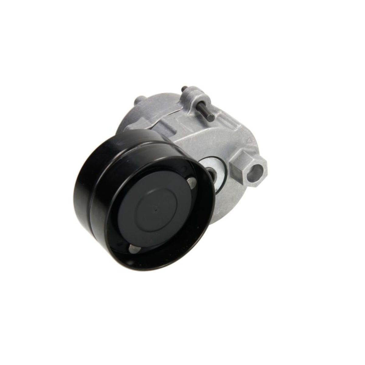 Image of Riemspanner, Poly V-riem