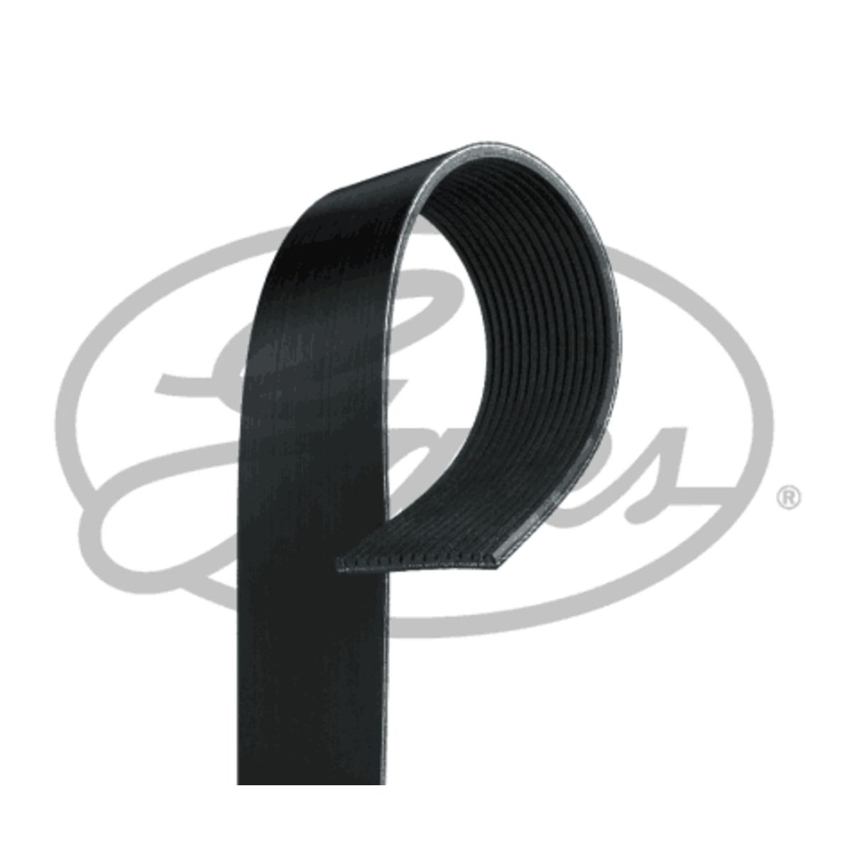 Image of V-rib riem FleetRunner Micro-V