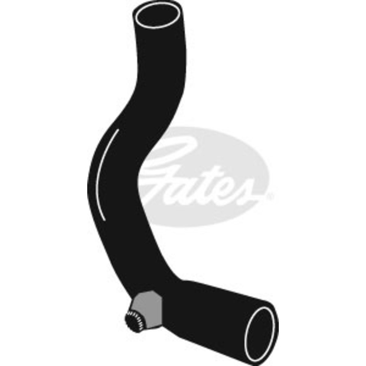 Image of Radiatorslang