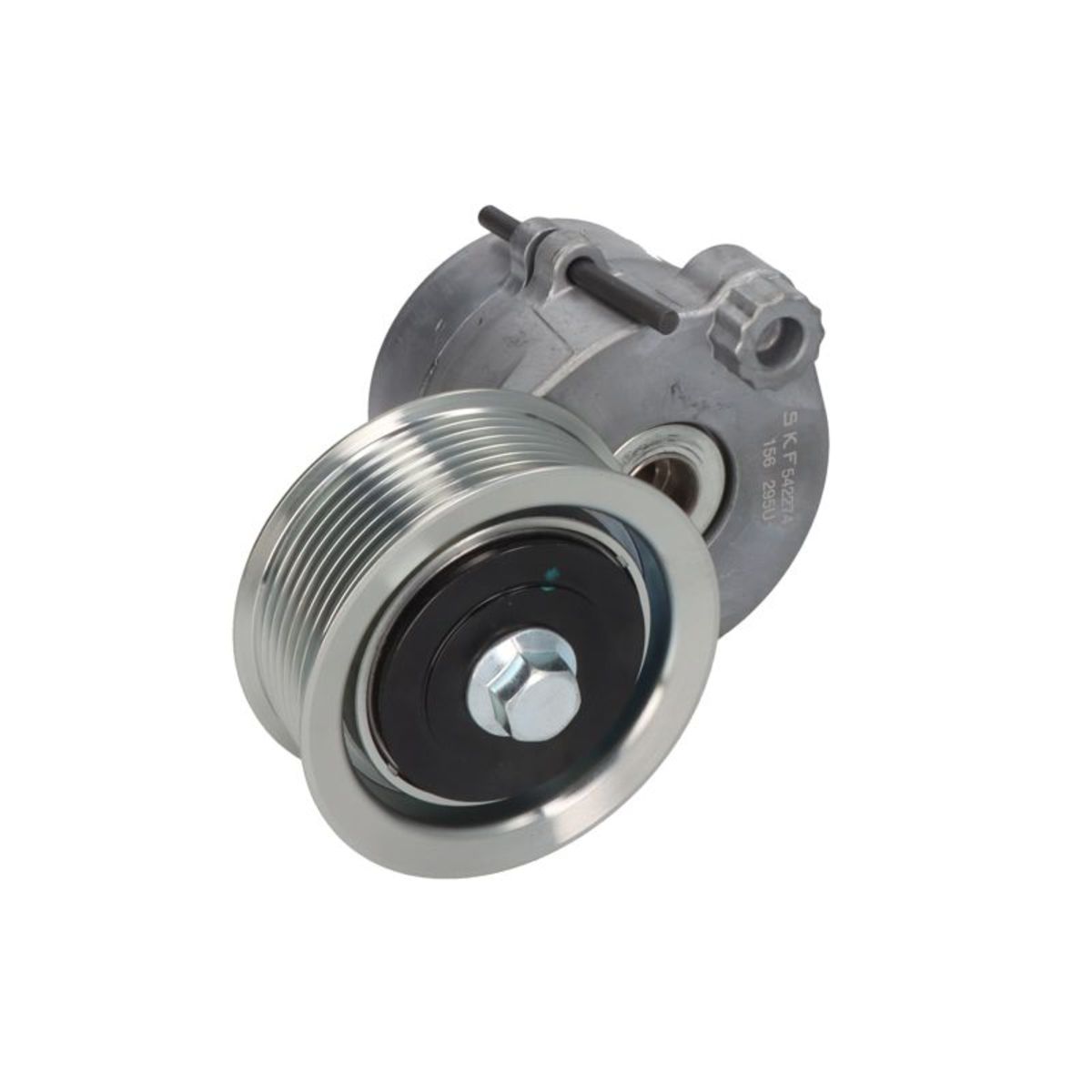 Image of Spanpoelie, V-riem