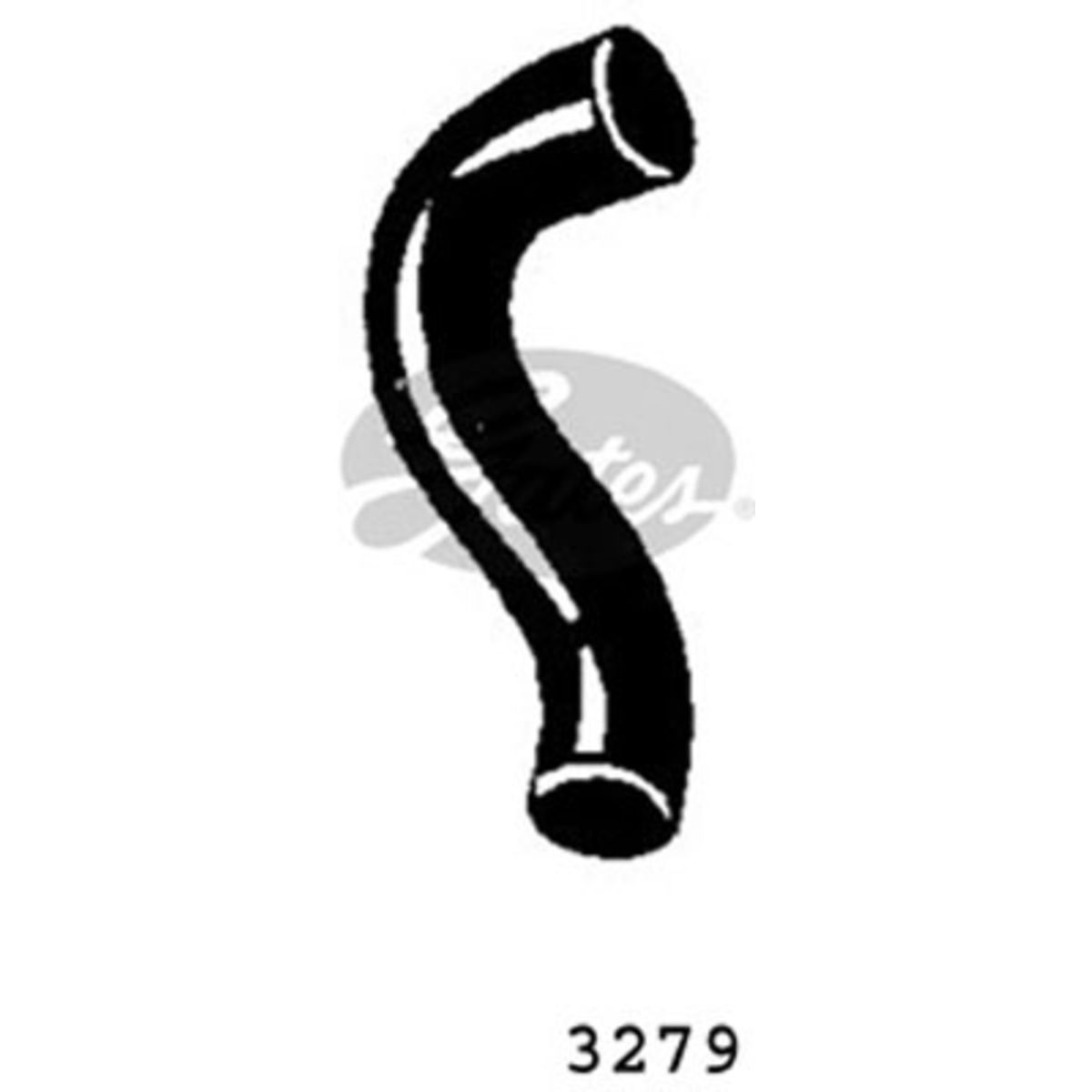 Image of Radiatorslang