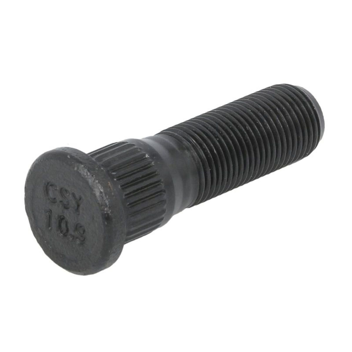 Image of Wielbout  40417