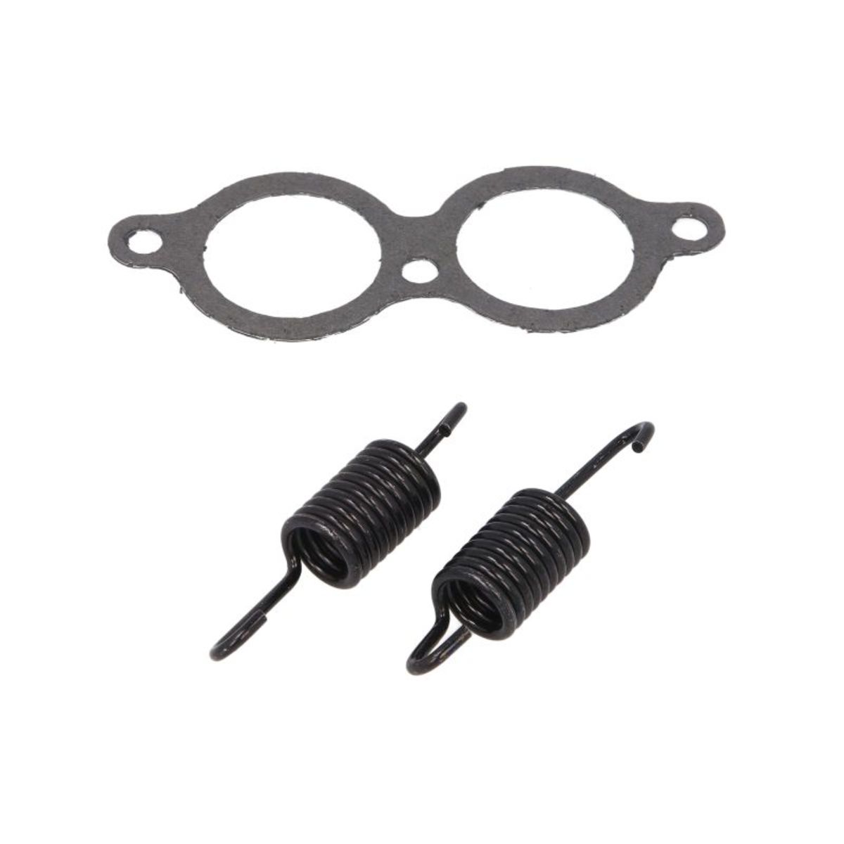 Abgasdichtung WINDEROSA W823181