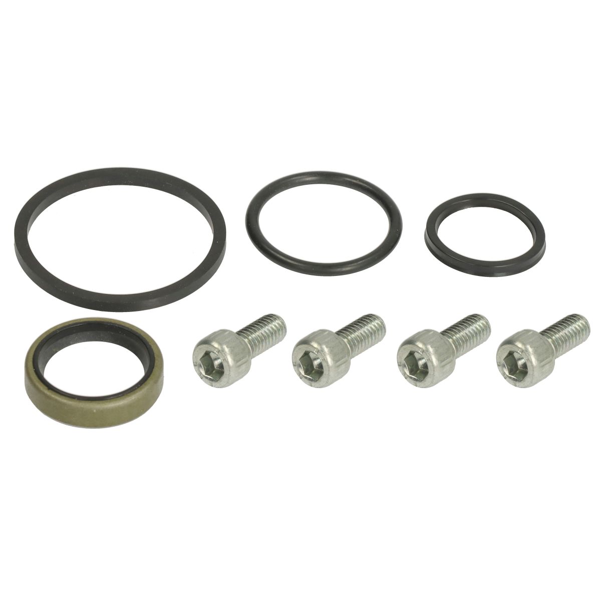 Wellenichtring, Motor (Kurbelwellenabdichtung) EXCAMEC 3375099-EXC