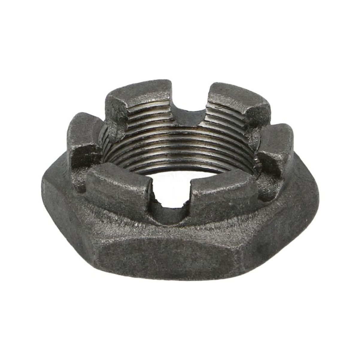 Image of Asophangingsmoer