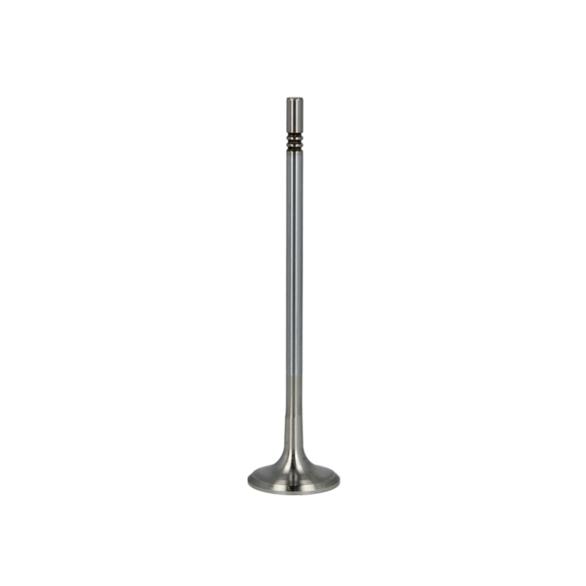 Valvola di scarico FRECCIA R6525/BMCR