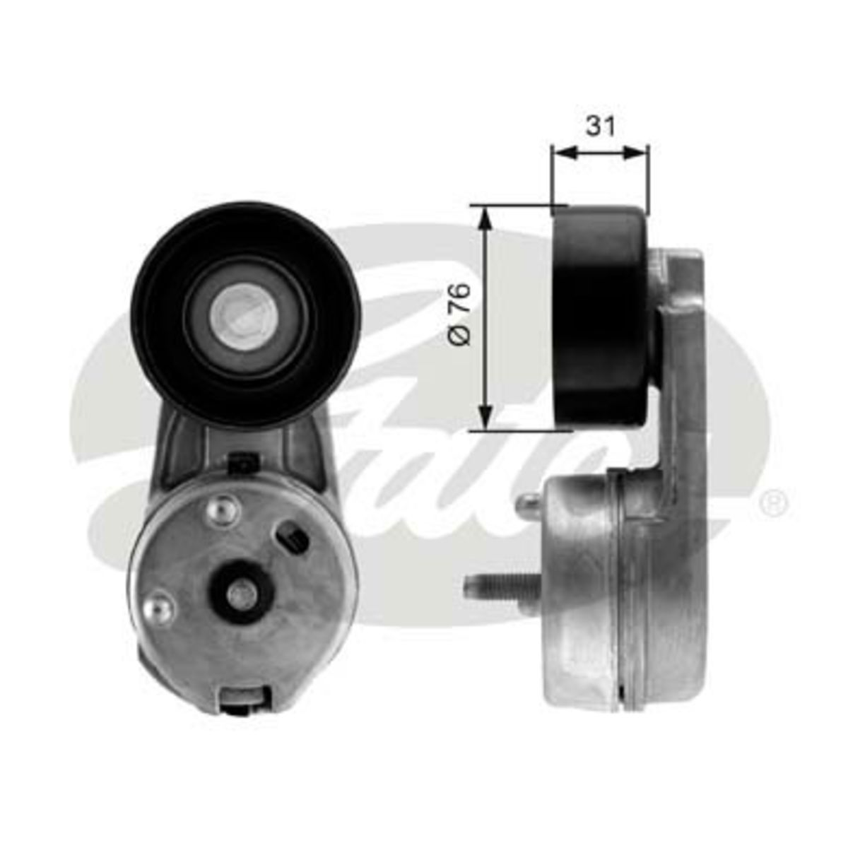 Image of Spanpoelie, V-riem