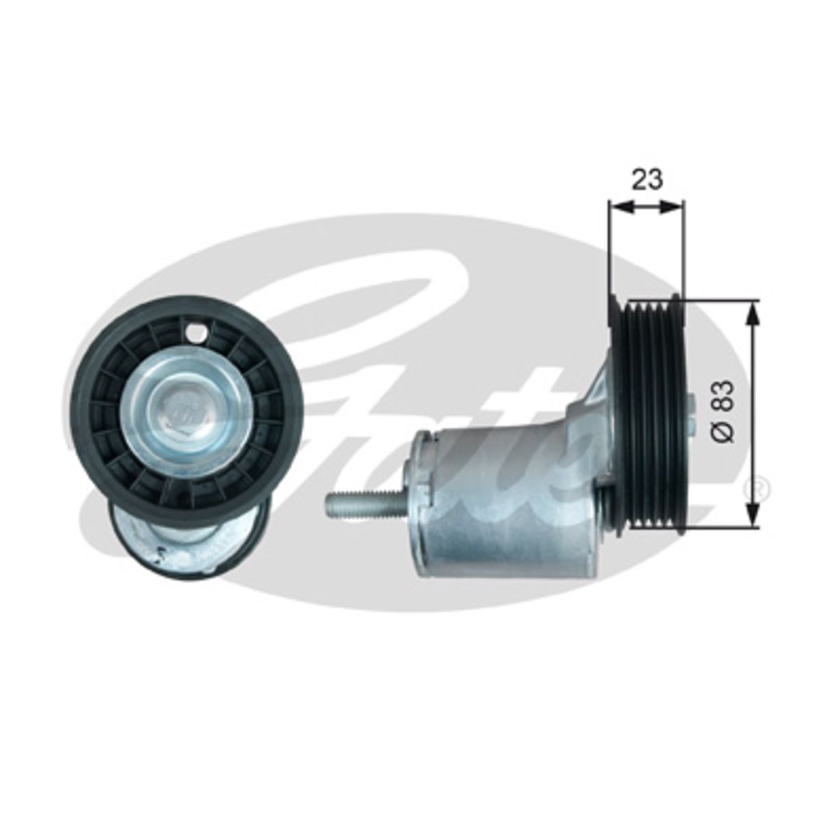 Image of Spanpoelie, V-riem