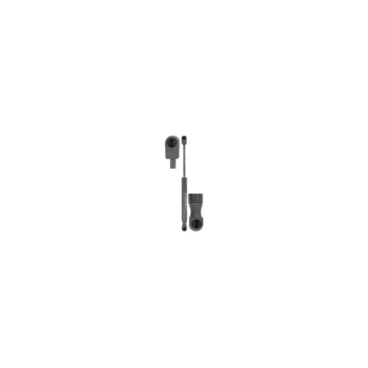 Image of Gasveer, motorkap