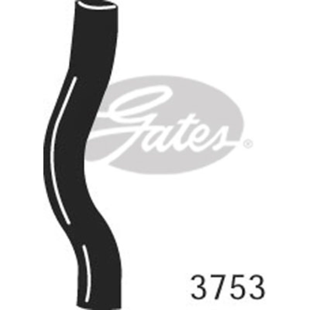 Image of Radiatorslang