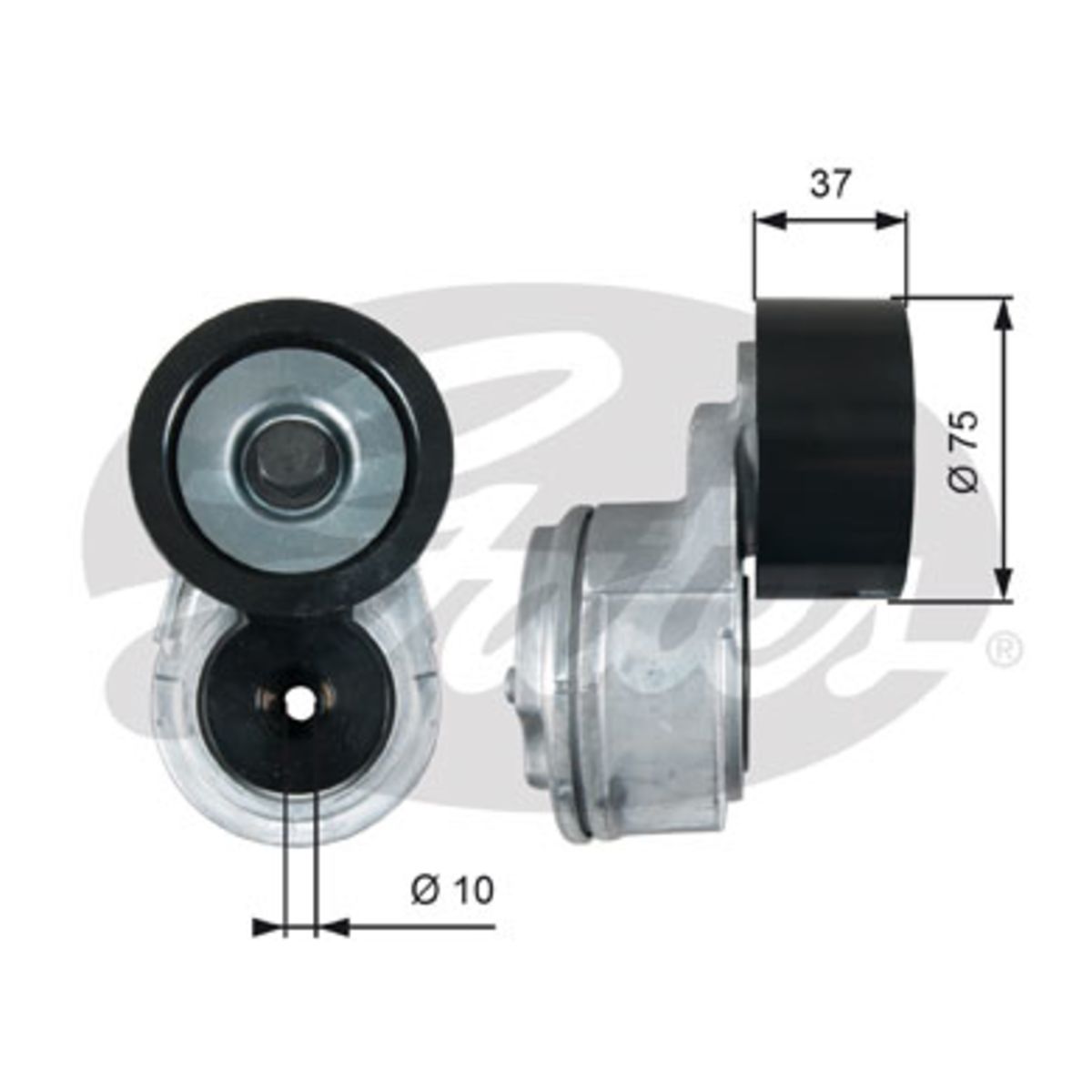 Image of Riemspanner, Poly V-riem