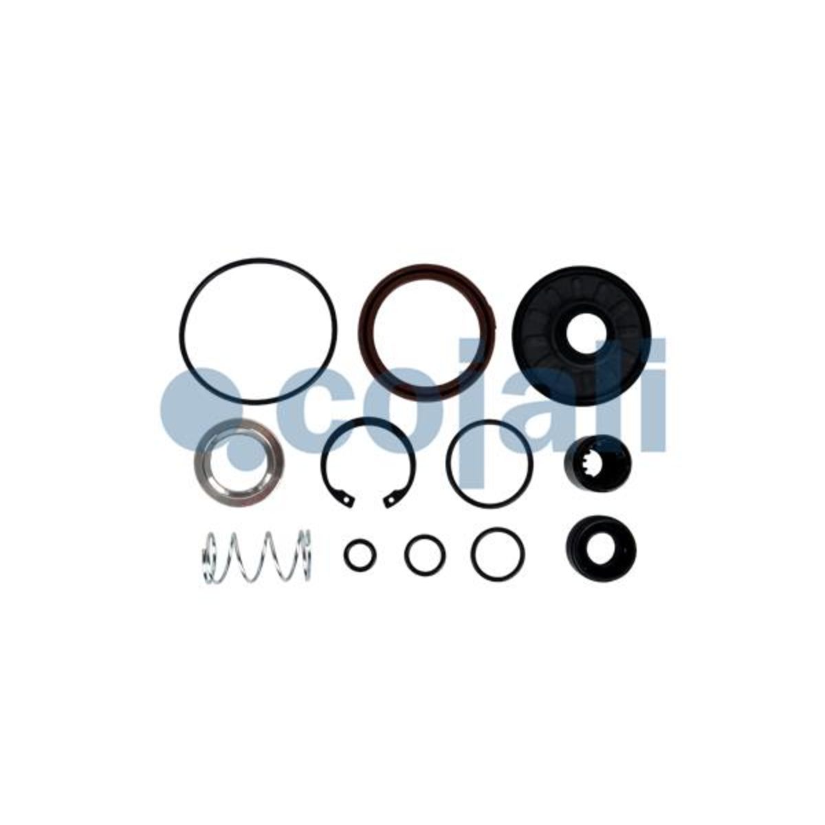 Cojali Reparatieset, Common-Rail-Systeem 6012365