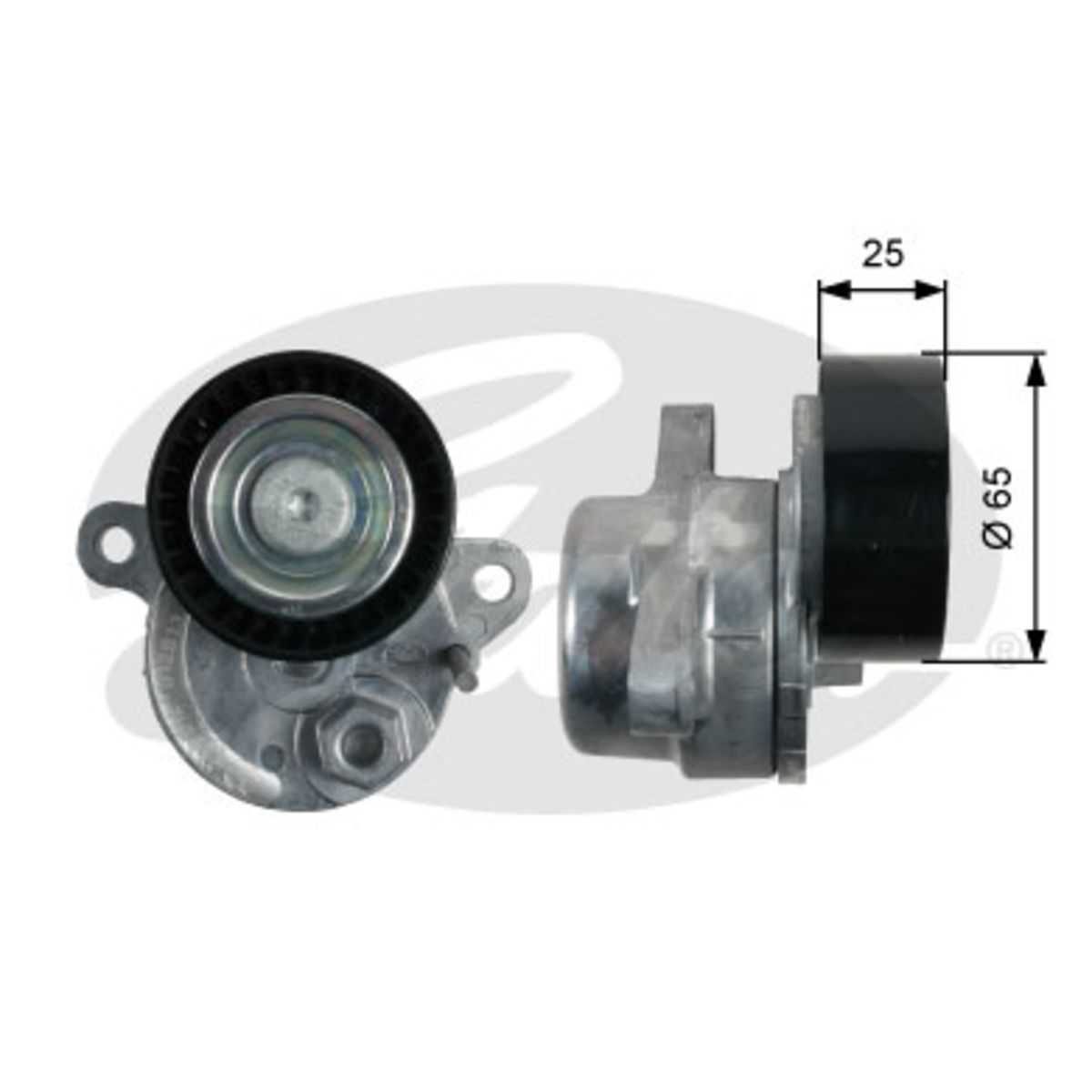 Image of Spanpoelie, V-riem