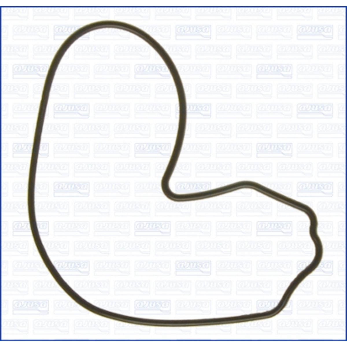 Image of Pakking, waterpomp