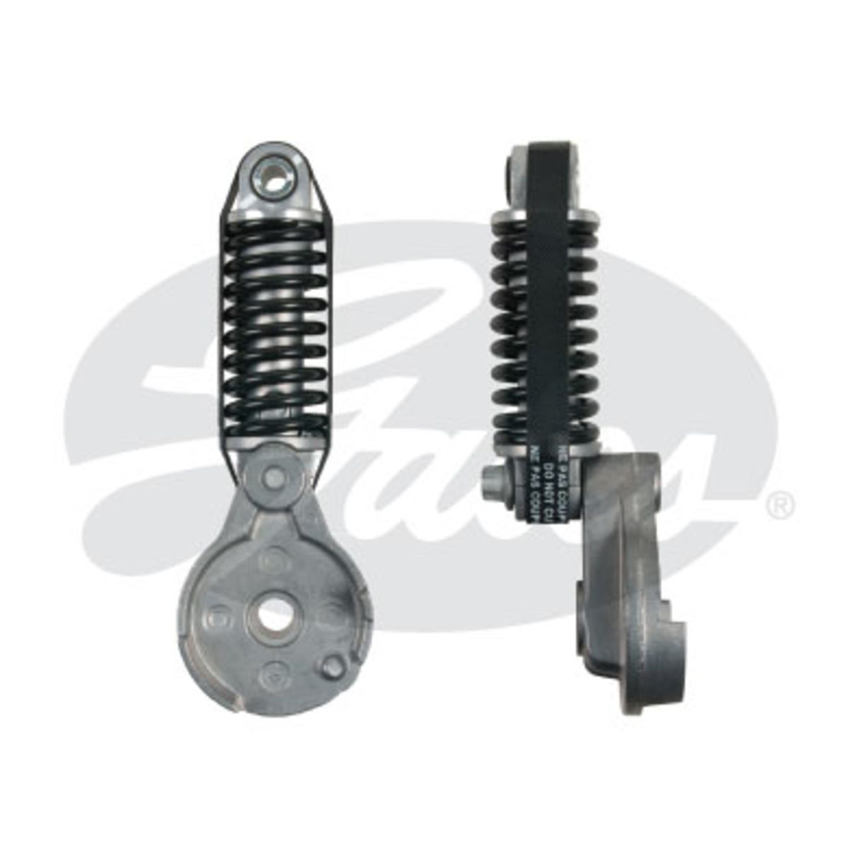 Image of Spanpoelie, V-riem
