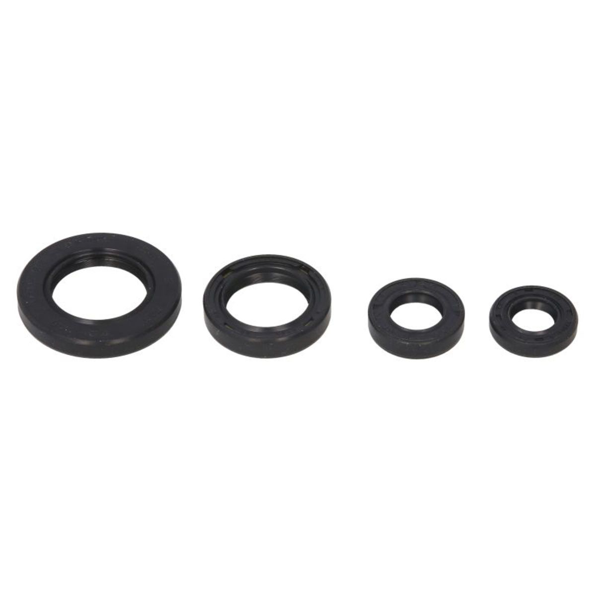 Motorsimmerringsatz WINDEROSA W822211