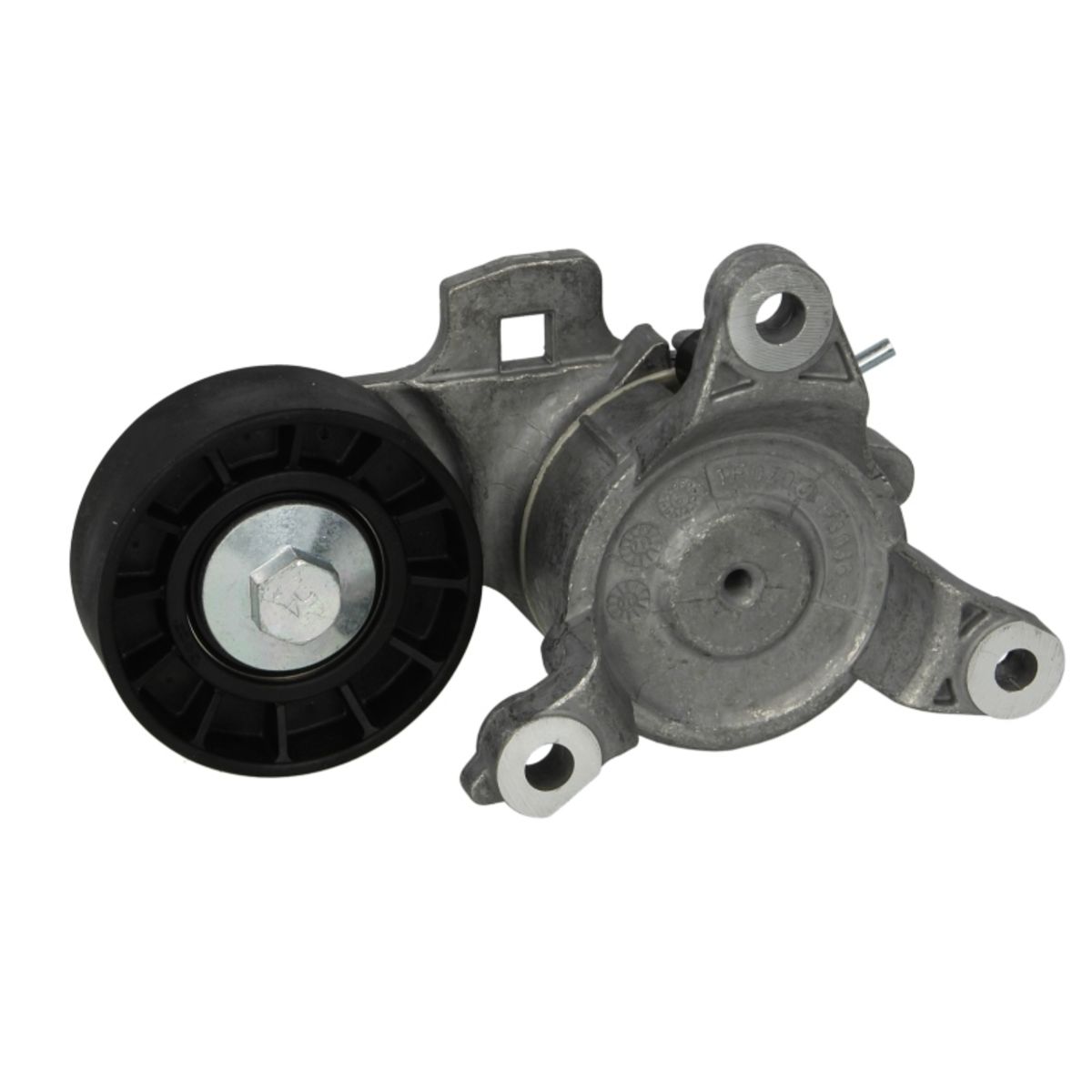 Image of Spanpoelie, V-riem