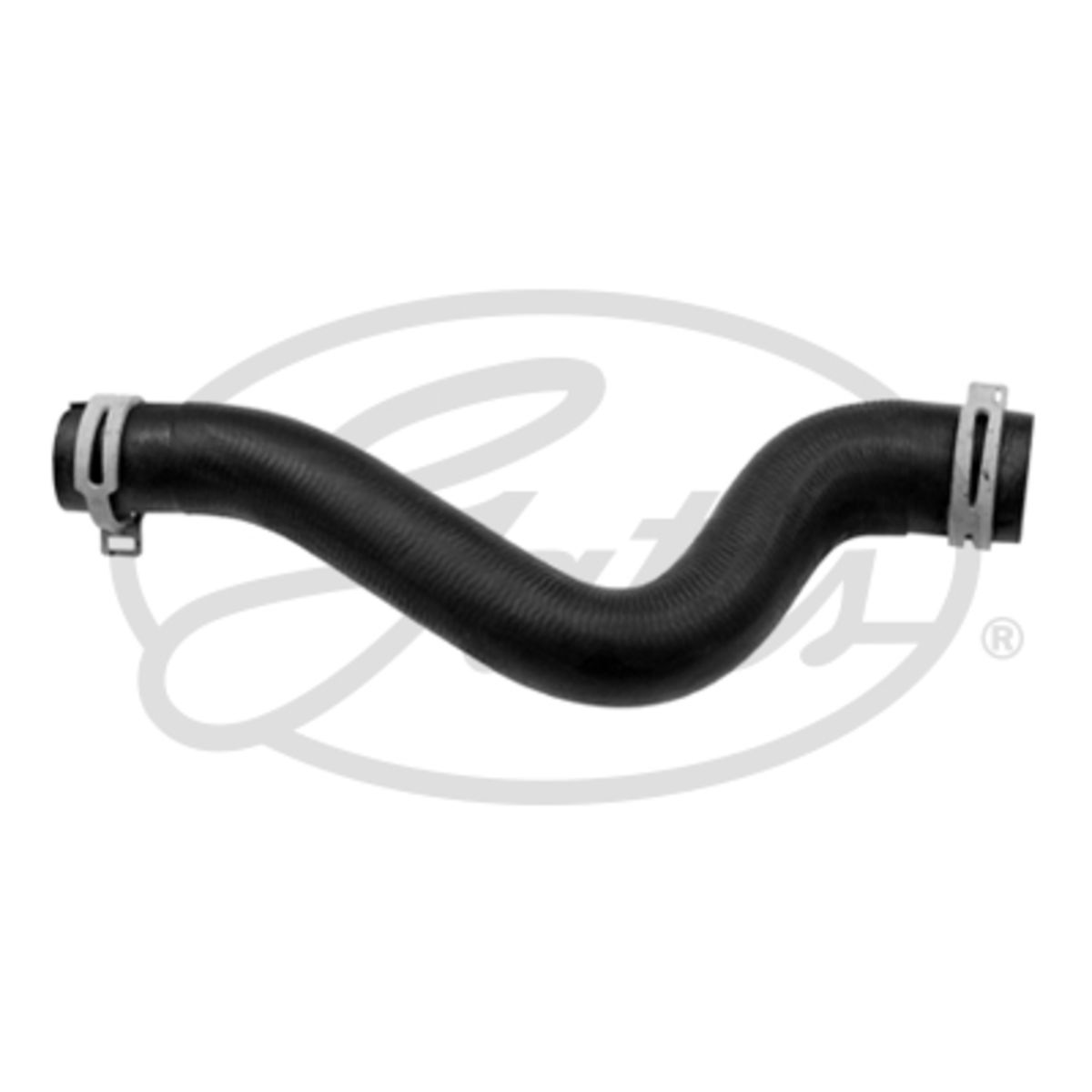 Image of Radiatorslang