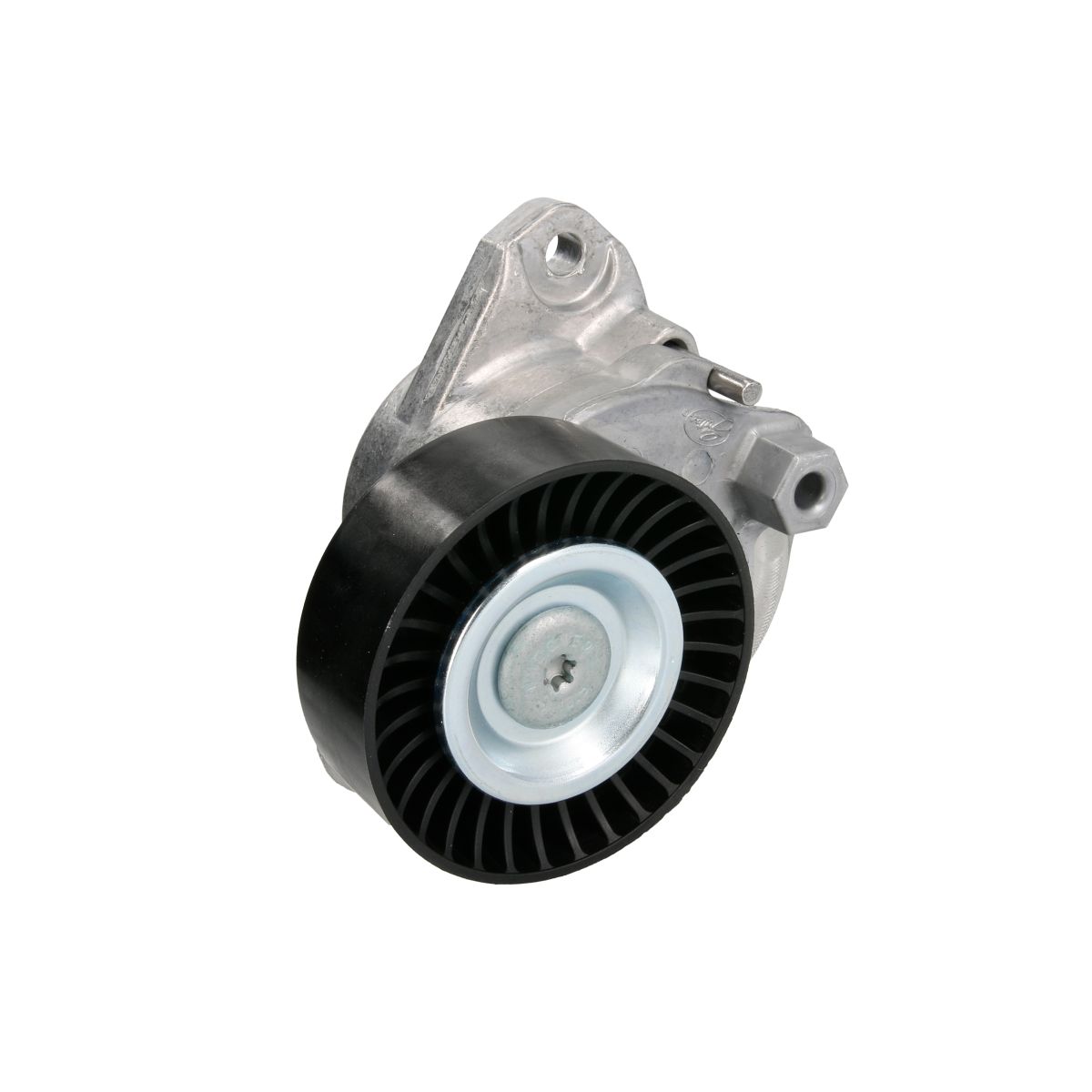 Image of Spanpoelie, V-riem