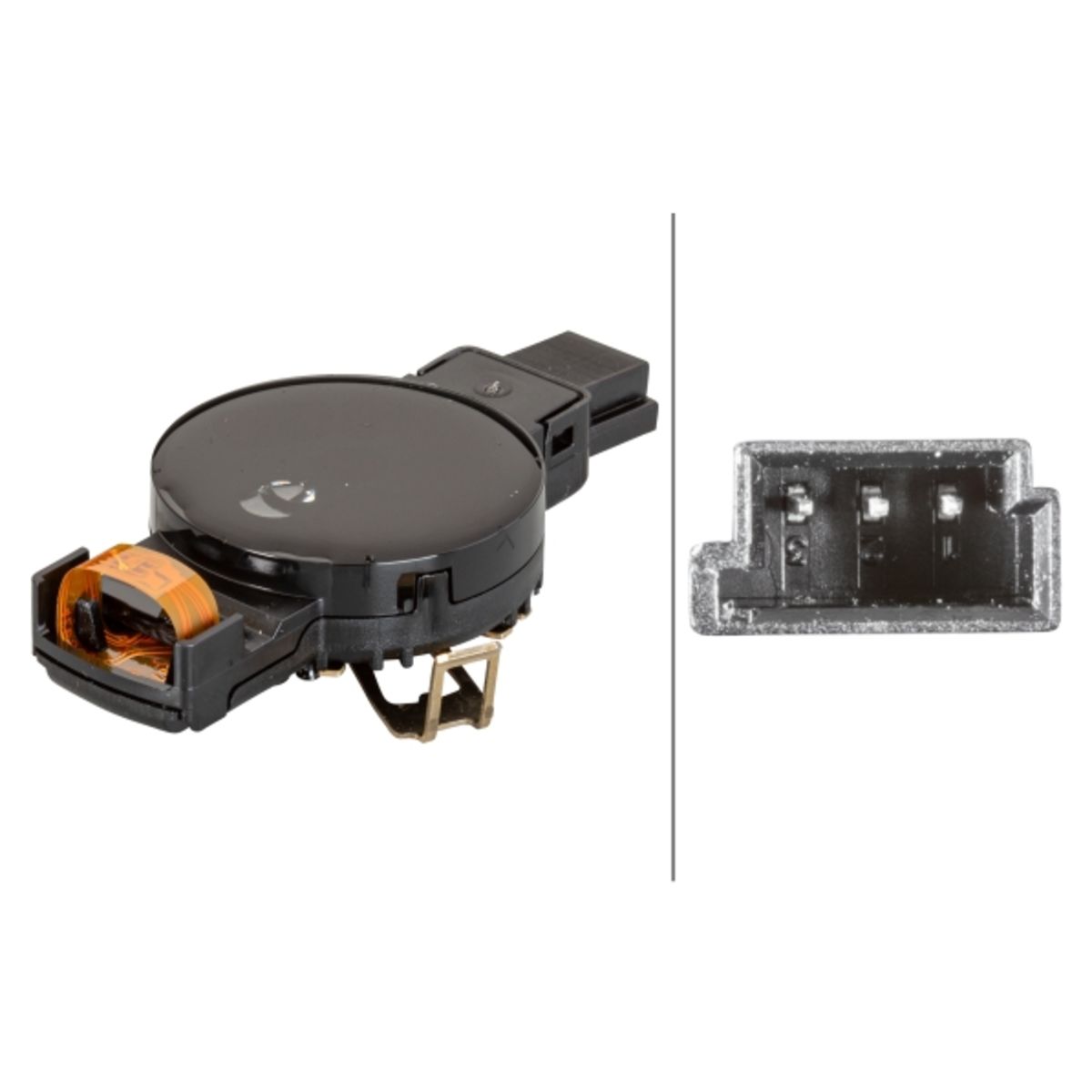 Image of Regensensor