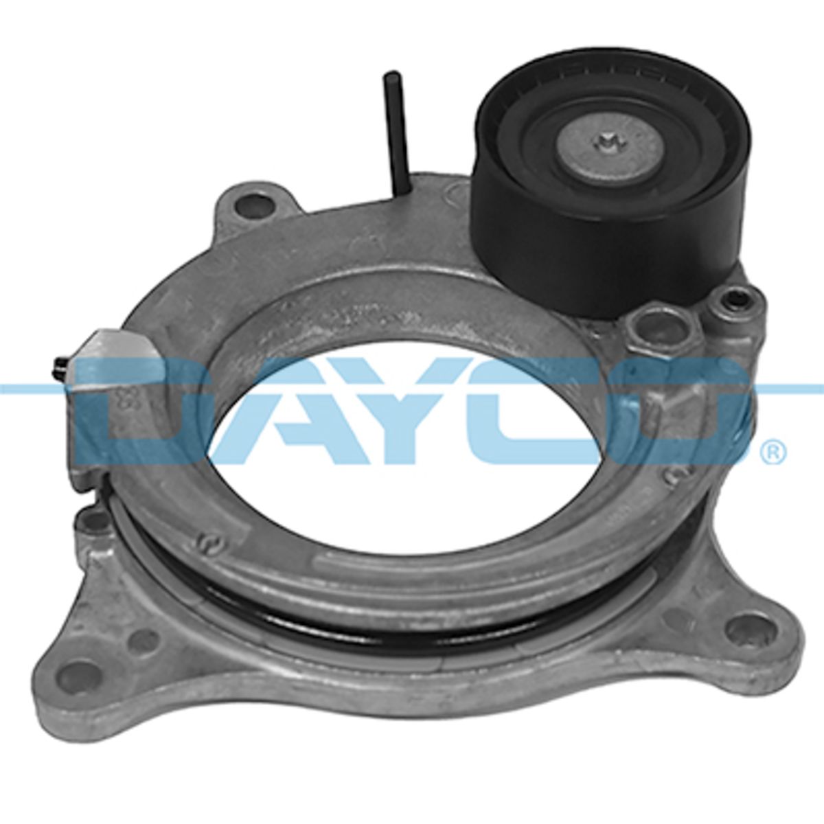 Image of Riemspanner, Poly V-riem