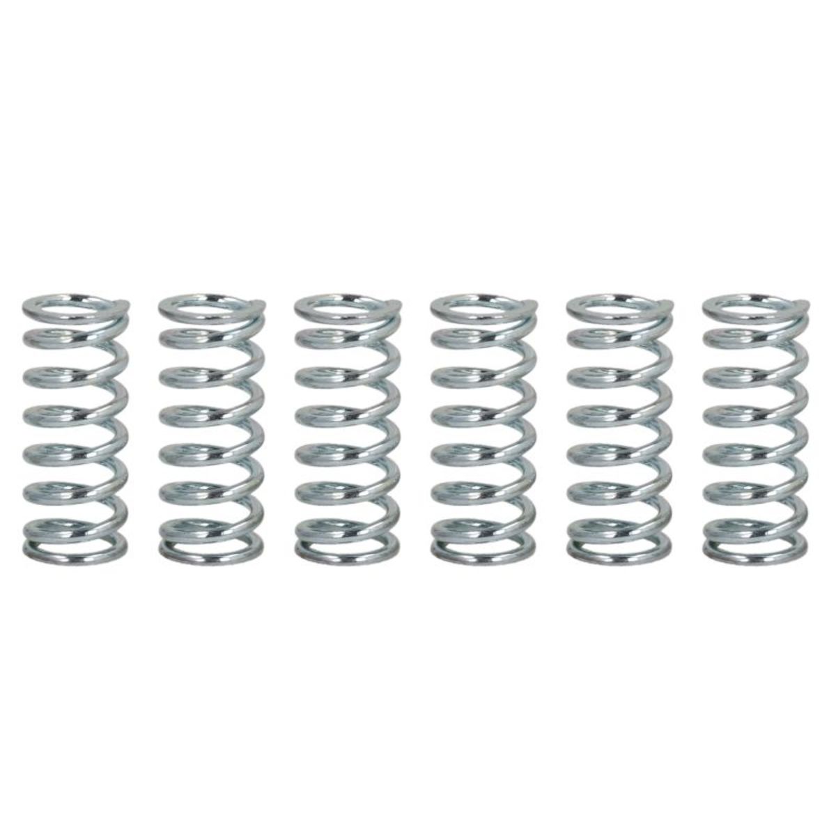 Kupplungsfeder FERODO FSS0401