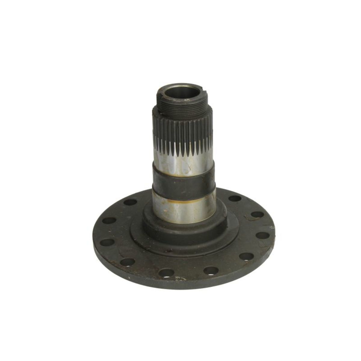 Image of Wielnaaf  B04-6262