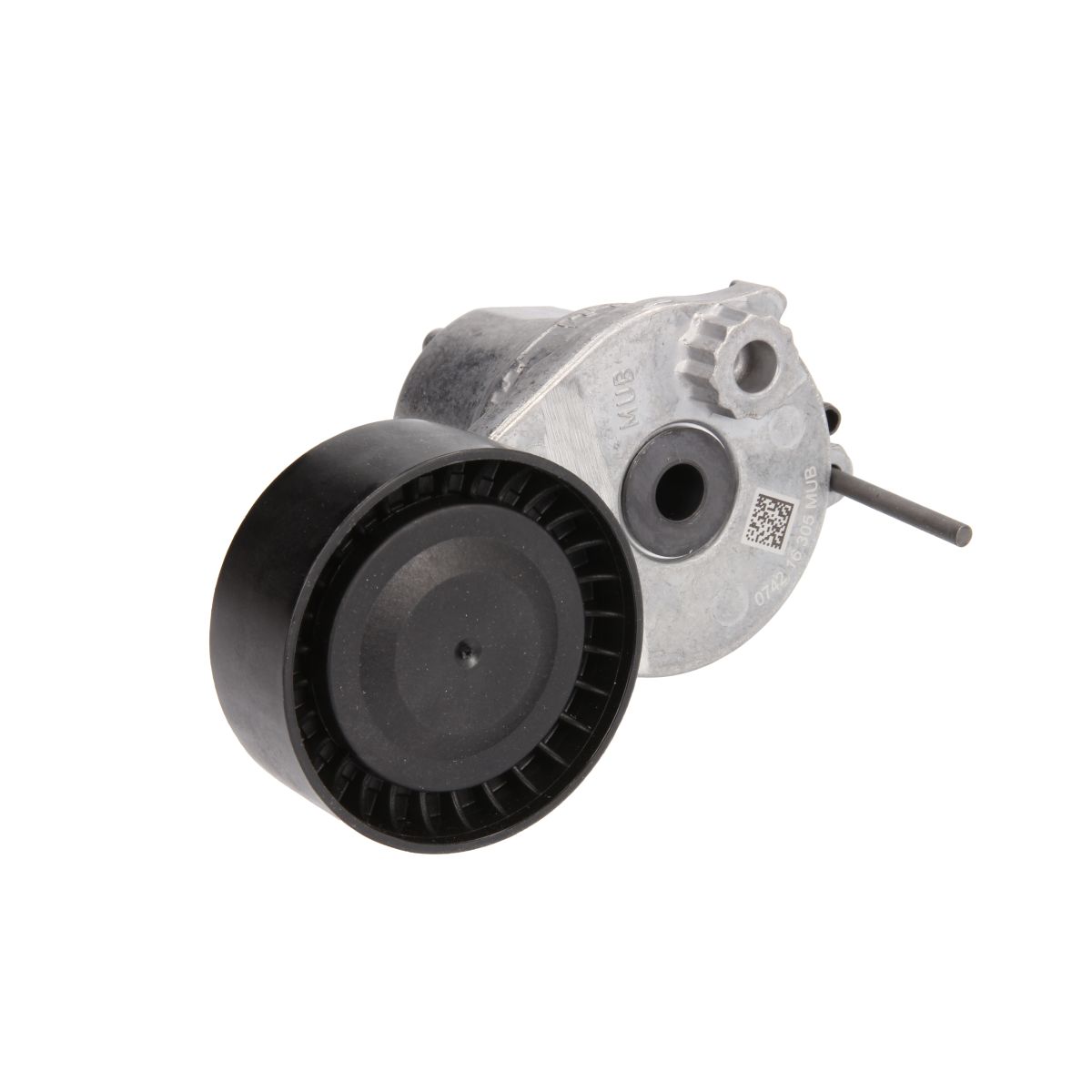 Image of Spanpoelie, V-riem