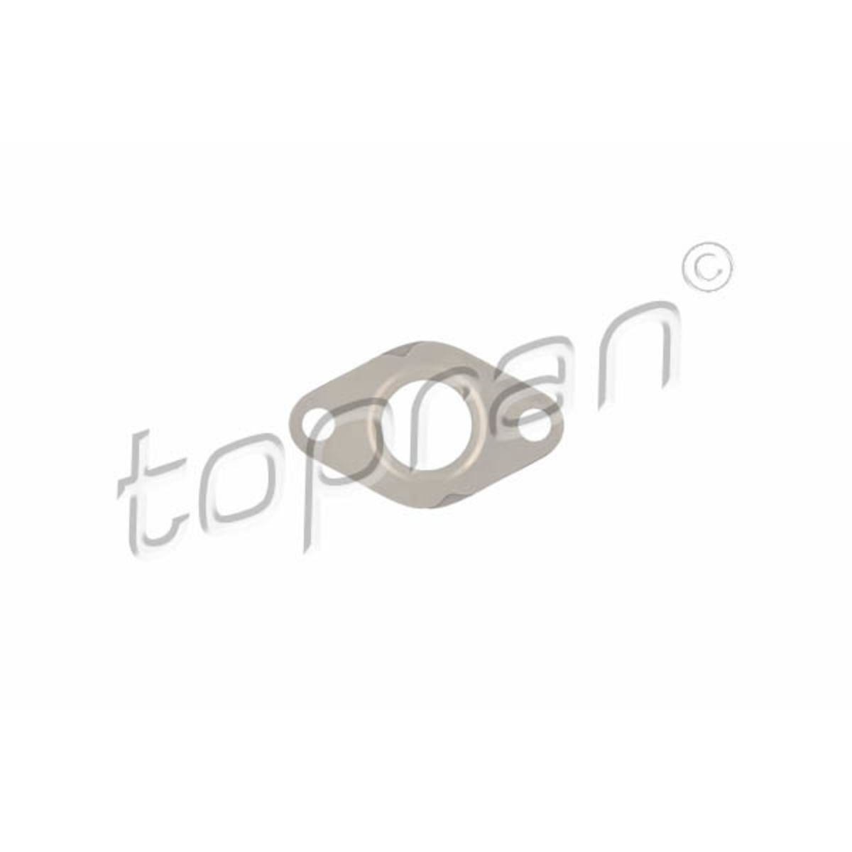 Topran AGR-Ventil-Dichtung-0
