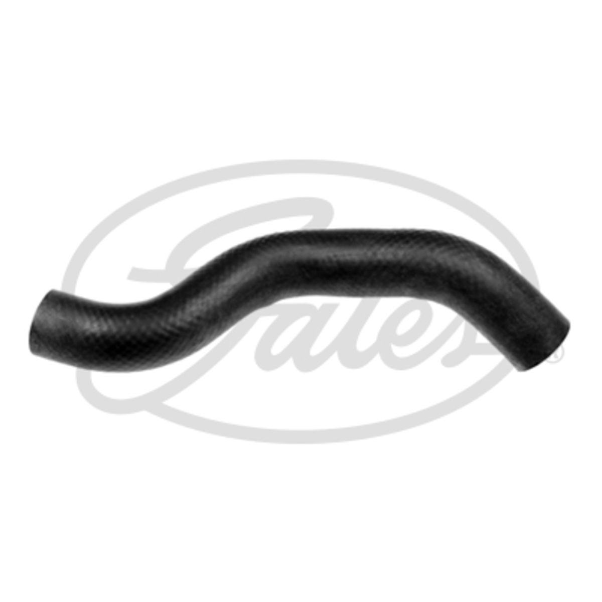 Image of Radiatorslang