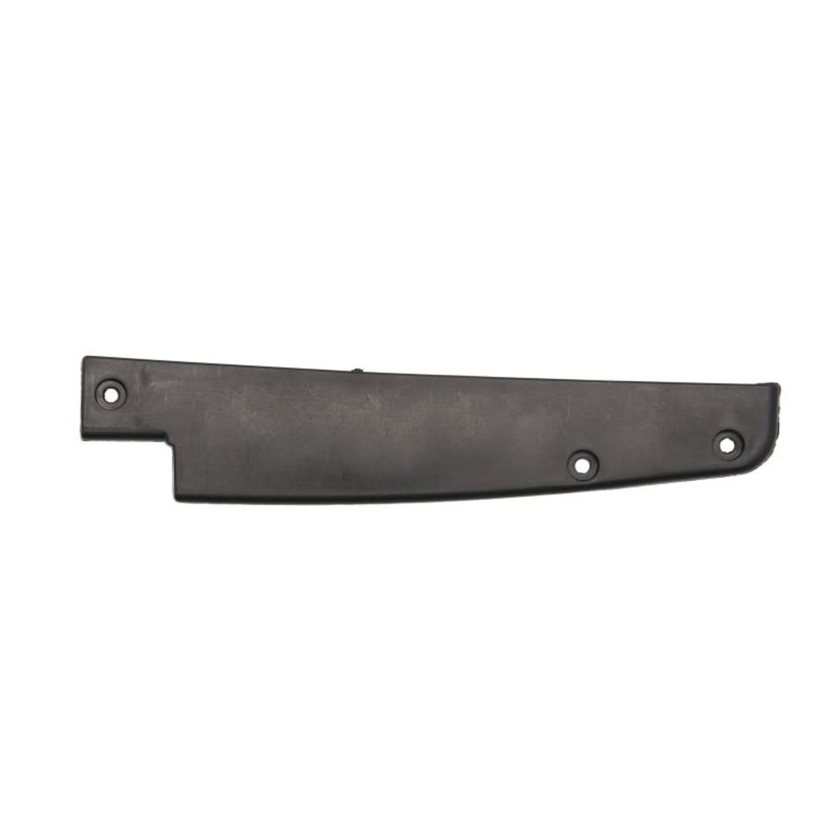 Moldura Protectora/decorativa, parachoques PACOL MAN-FP-011L izquierda