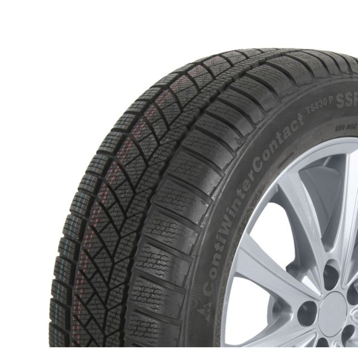 Image of Winterband  ContiWinterContact TS 830 P SUV 255/50R19 XL 107V