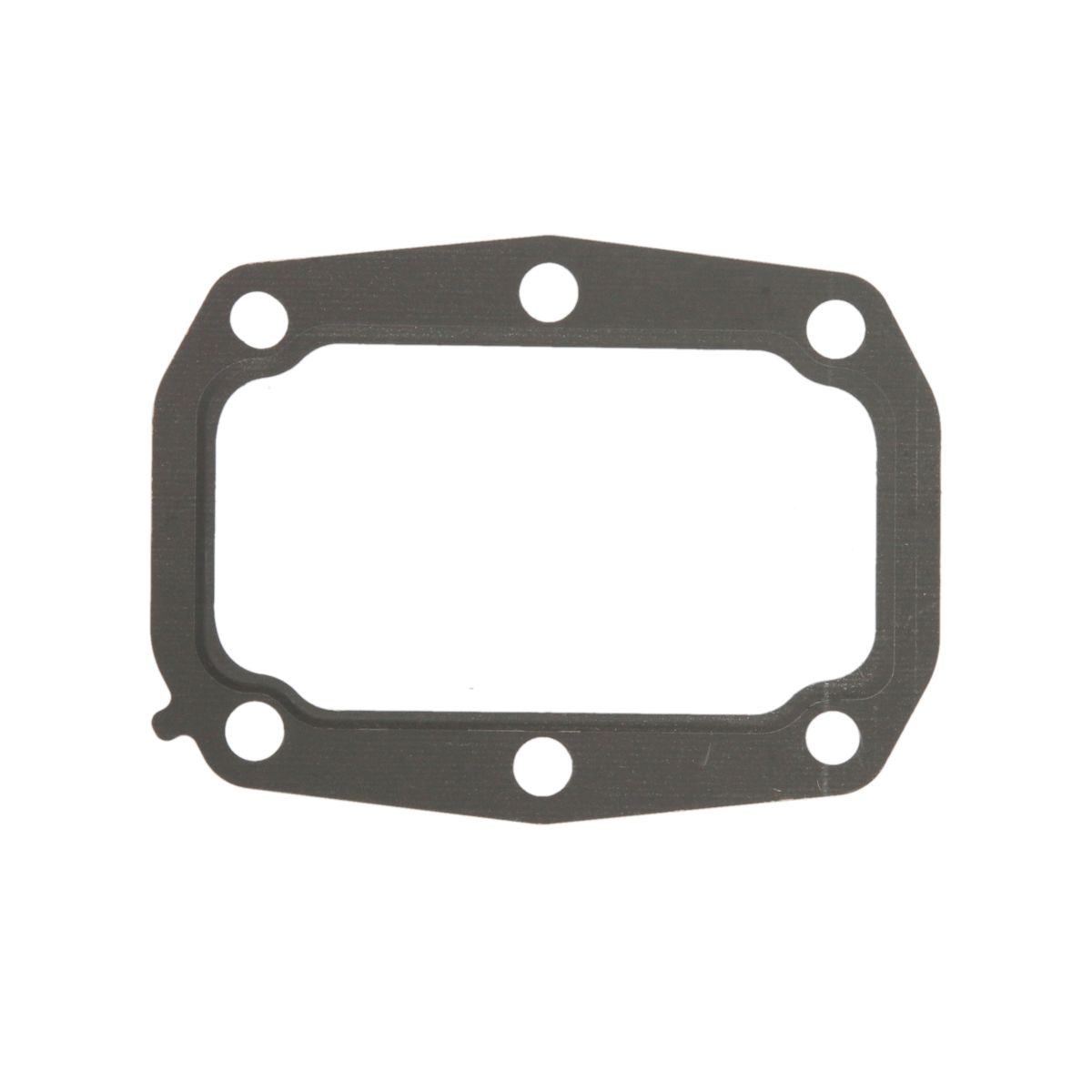 Elring Pakking, Inlaatspruitstuk, EGR klep  662.950