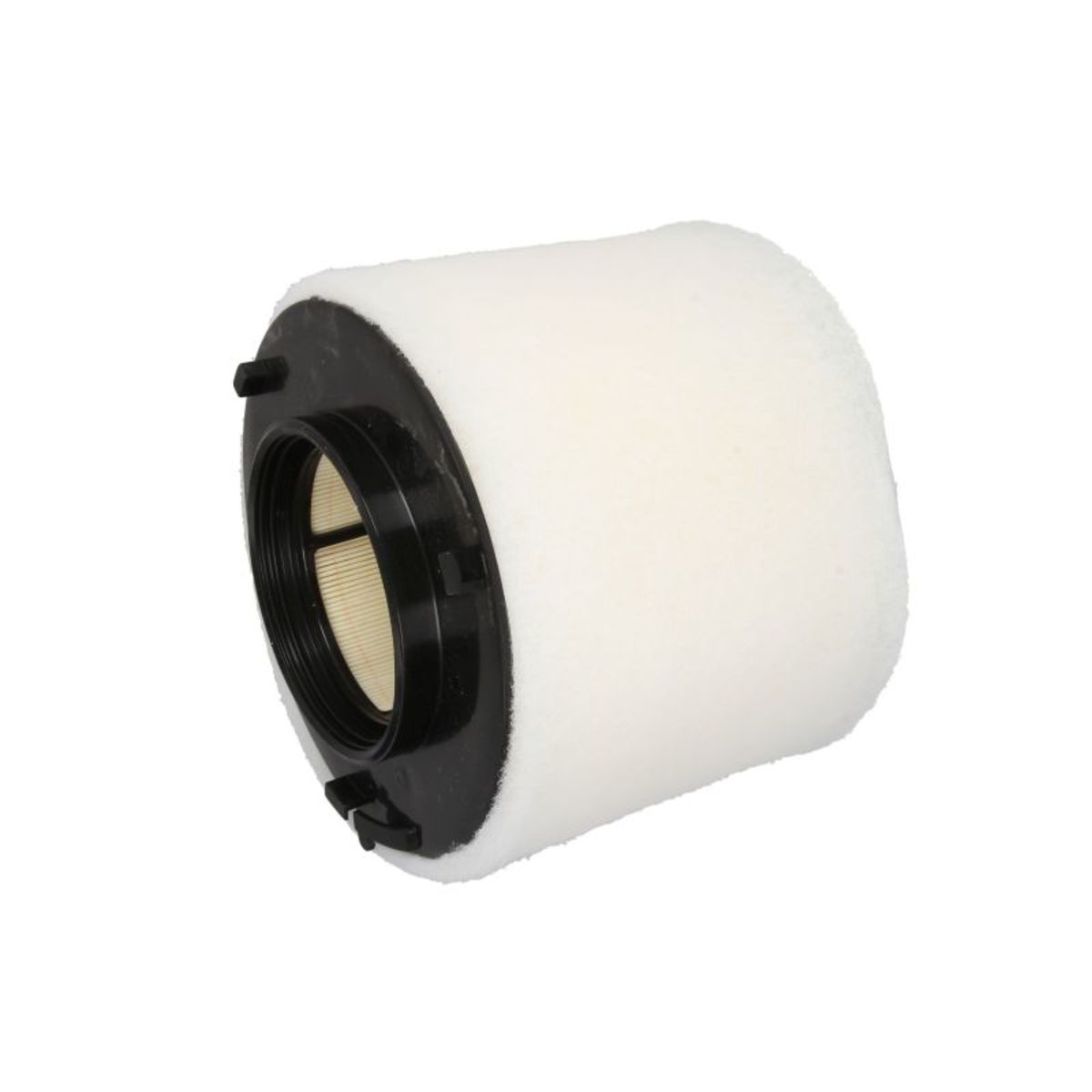 Filtron Filtro Aria Ak 376/2