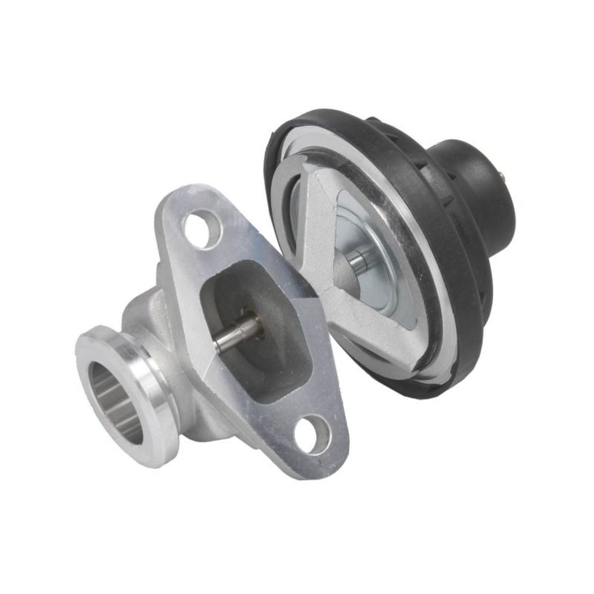 Image of EGR-klep  EGP0-N049