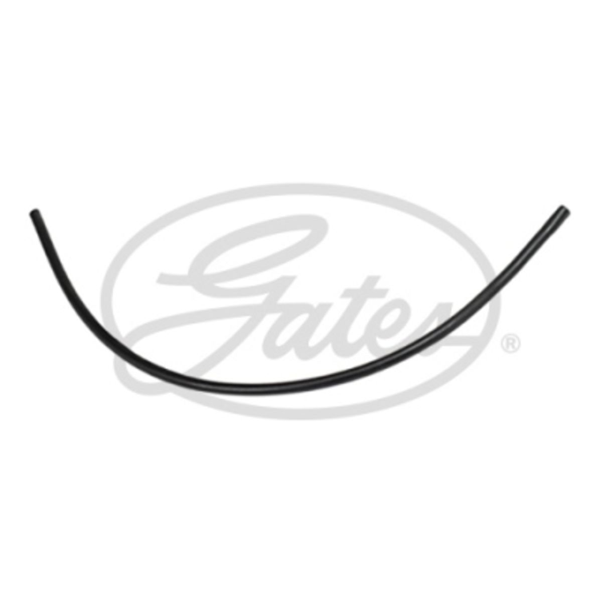 Image of Radiateurslang