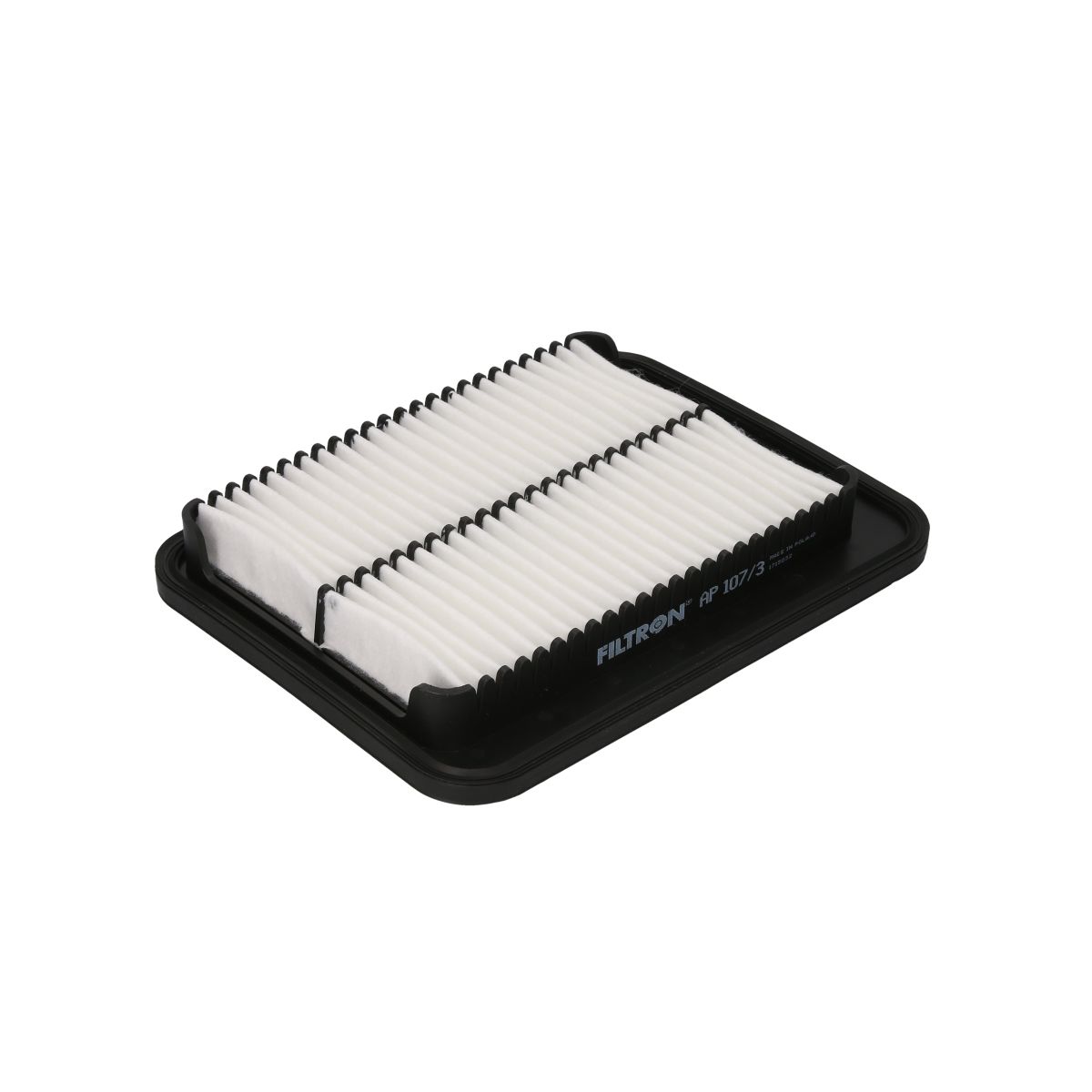 Filtron Filtro Aria Ap107/3