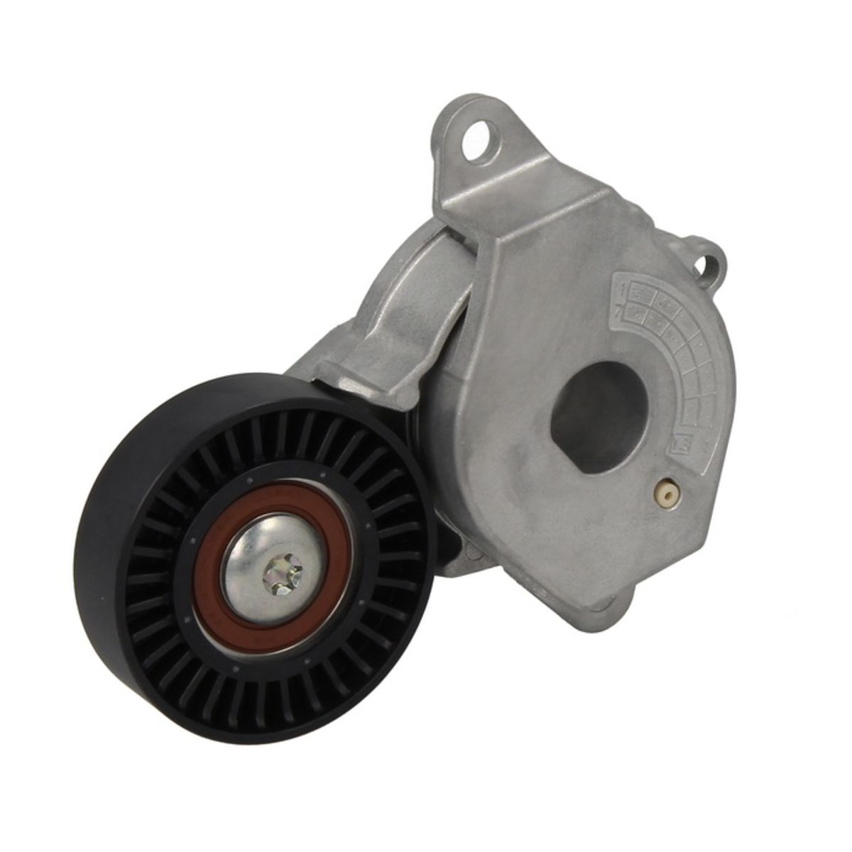Image of Spanpoelie, V-riem